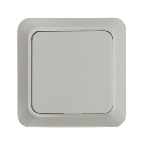 Выключатель одноклавишный BOLLETO белый накладной 7021 IN HOME купить за 74 руб. в Новосибирске