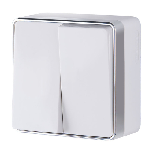 Выключатель 2-клавишный Gallant (белый) / WL15-03-01 / W5020001, WERKEL купить за 495 руб. в Новосибирске