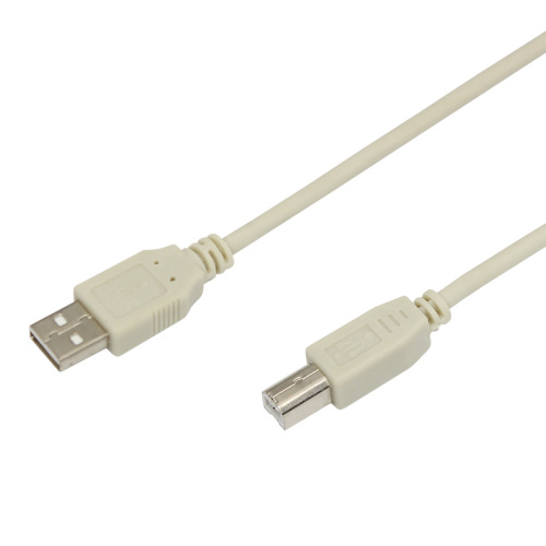 Шнур  USB-А (male) - USB-B (male)  1.8M  REXANT (ДЛЯ ПРИНТЕРА) купить за 311 руб. в Новосибирске