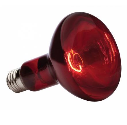 Лампа ИКЗК 250W 220V E27 (15шт/уп), 67722 купить за 0 руб. в Новосибирске