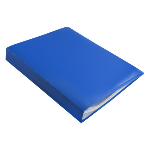 ГАЗ015 Папка 100ф Persona синий пластик 0.8мм A100-821 купить за 198 руб. в Новосибирске