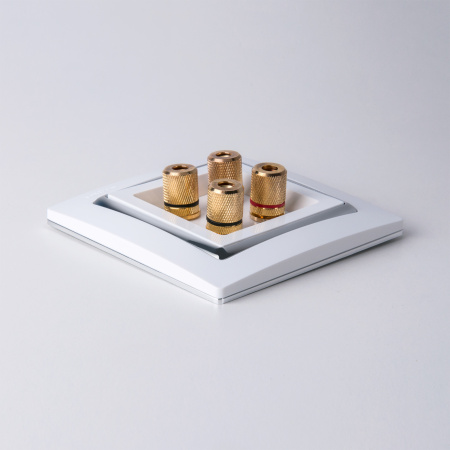 Рамка Snabb на 1 пост (белый/серебро) / WL03-Frame-01-white/silver / W0011901, WERKEL купить за 229 руб. в Новосибирске