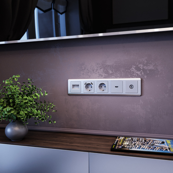 ТВ-розетка оконечная (серебряный) / WL06-TV / W1183006, WERKEL купить за 742 руб. в Новосибирске