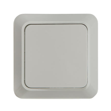 Выключатель одноклавишный BOLLETO белый накладной 7021 IN HOME купить за 116 руб. в Новосибирске