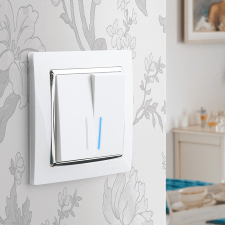 Рамка Snabb на 1 пост (белый/серебро) / WL03-Frame-01-white/silver / W0011901, WERKEL купить за 229 руб. в Новосибирске