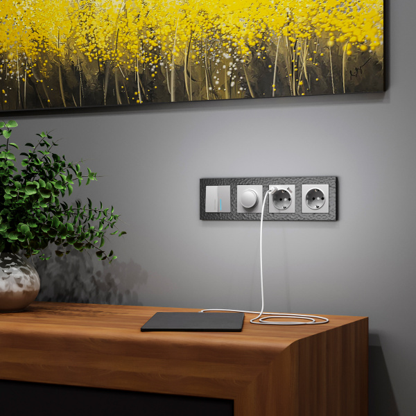 Розетка с заземлением (серебряный) / WL06-SKG-01-IP20 / W1171006, WERKEL купить за 0 руб. в Новосибирске