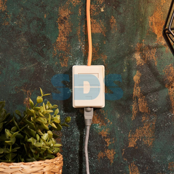 Розетка сетевая LAN PROconnect на стену, 1 гнездо, 8Р8С (Rj-45), 5e кат. пакет БОПП купить за 90 руб. в Новосибирске