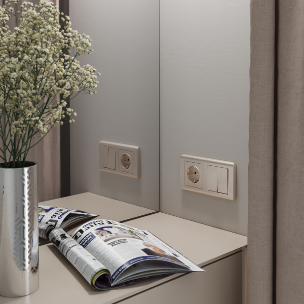 Рамка Stream на 2 поста (шампань) / WL12-Frame-02-shampan / W0022111 купить за 612 руб. в Новосибирске