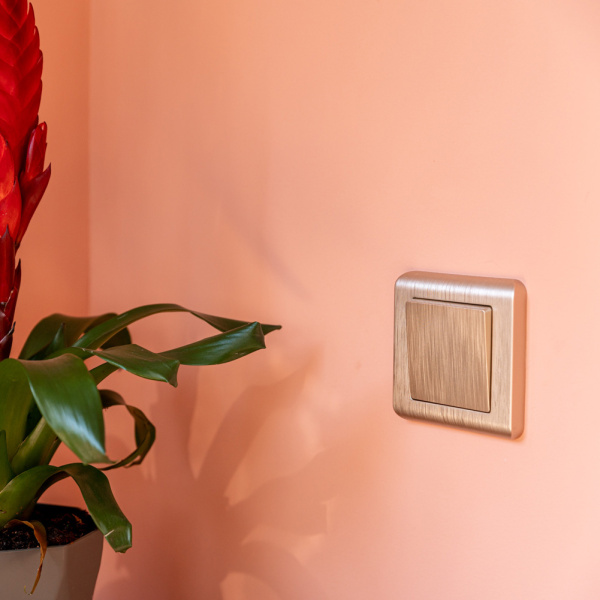 Выключатель 1-клавишный (шампань рифленый) / WL10-SW-1G / W1110010 купить за 565 руб. в Новосибирске