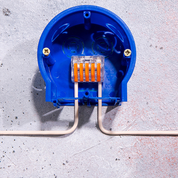 Универсальная многоразовая 5-проводная клемма REXANT (0,08-2,5 (4) мм²) 40шт. прозрачные купить за 50 руб. в Новосибирске